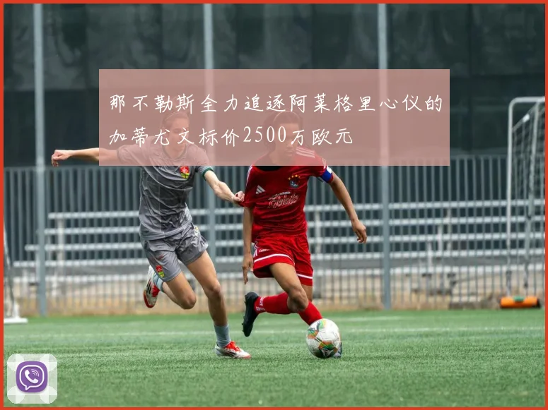 那不勒斯全力追逐阿莱格里心仪的加蒂尤文标价2500万欧元